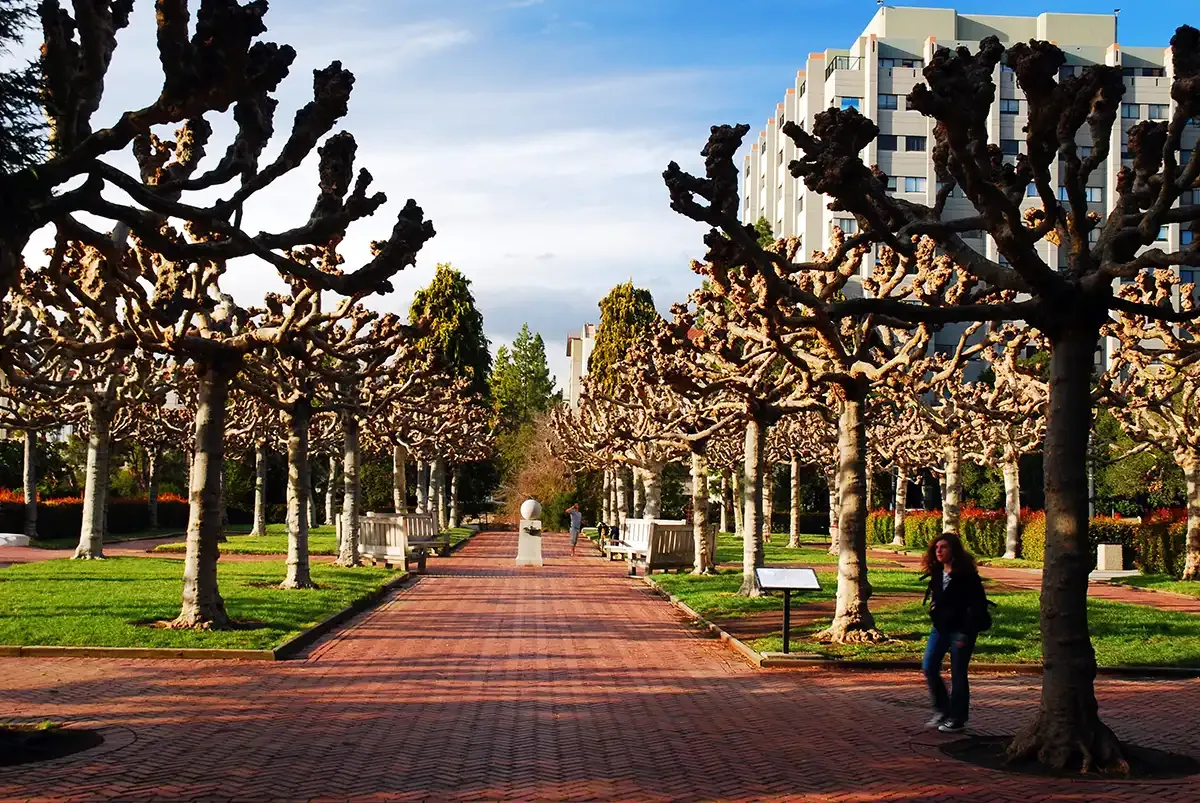 uc_berkely_turner_header