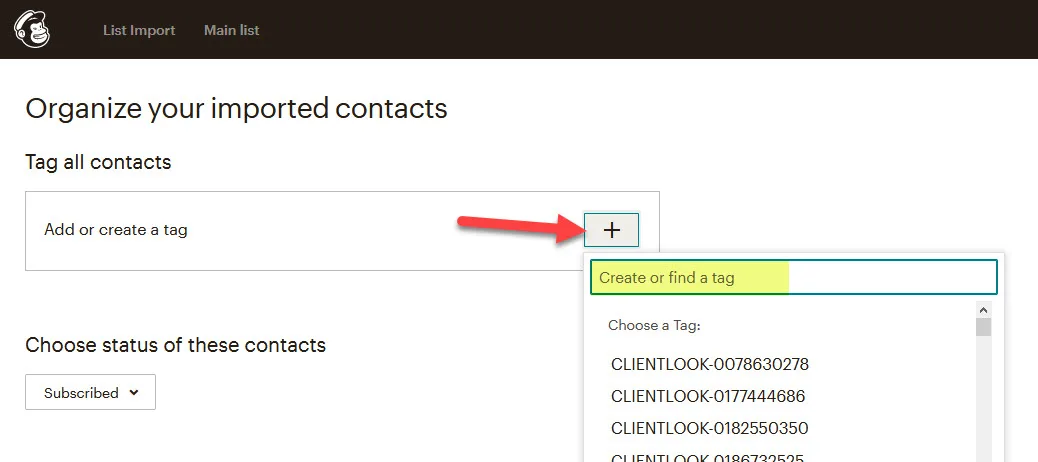 How-To-Import-Contacts-Into-MailChimp_6