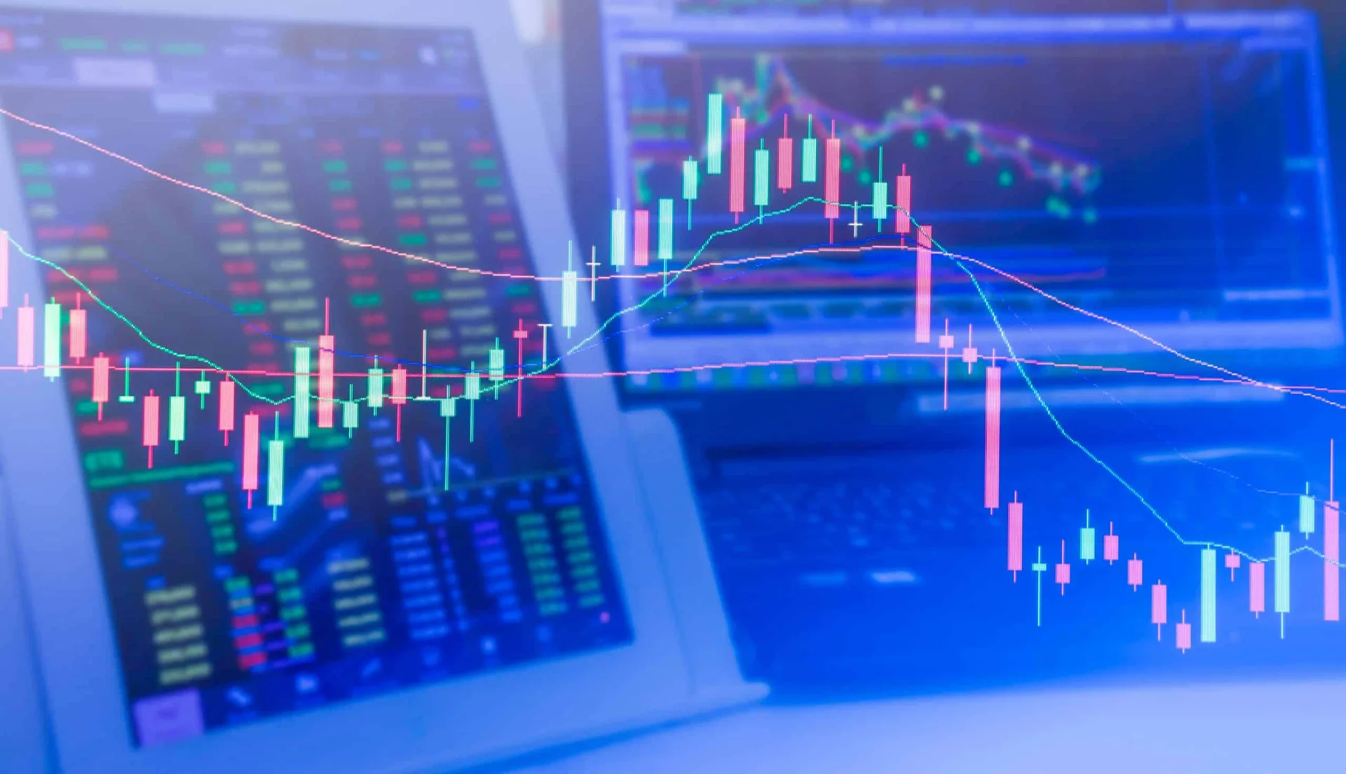 Quarterly Market Roundup