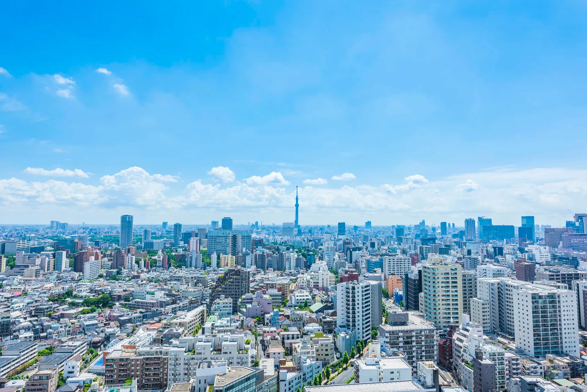 Tokyo city skyline , Japan.